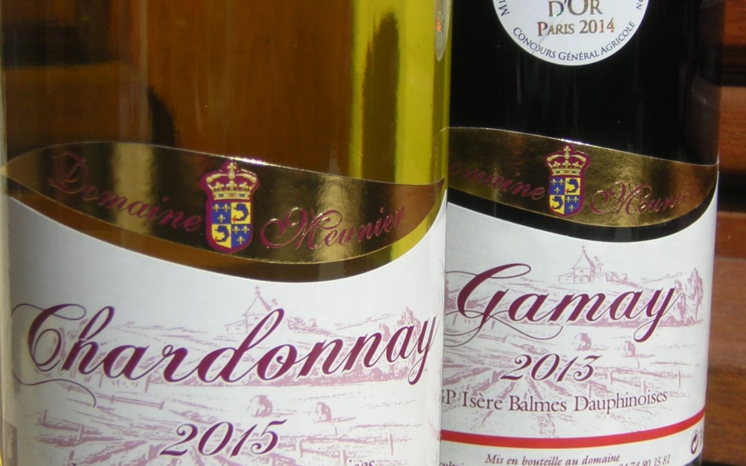 VINS